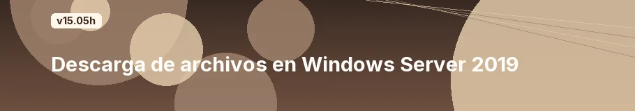 Descarga de archivos en Windows Server 2019